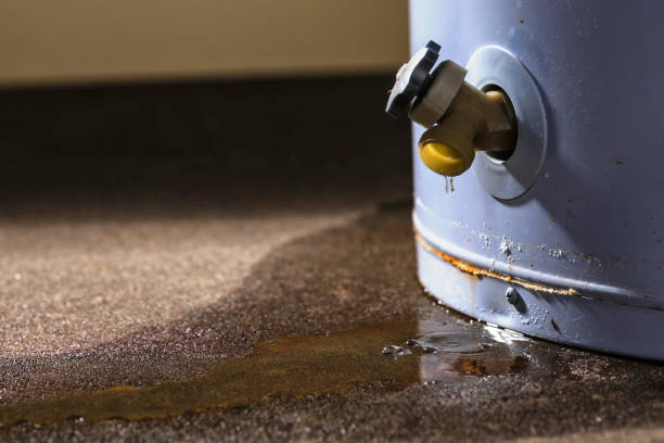 Best Water damage repair service  in Woodstock, IL