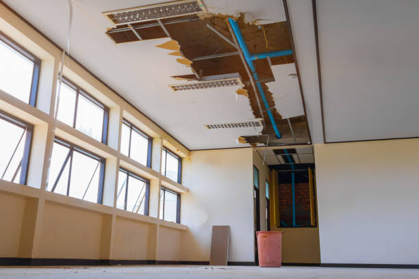 Best Basement water damage restoration  in Woodstock, IL