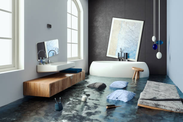 Best Water damage restoration near me  in Woodstock, IL
