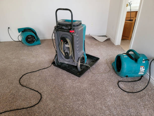 Best Water damage mitigation services  in Woodstock, IL