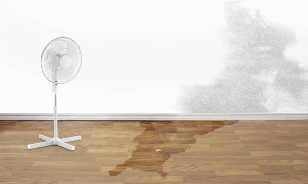 Best 24/7 water damage repair  in Woodstock, IL