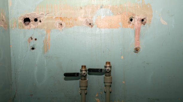 Best 24/7 water damage repair  in Woodstock, IL