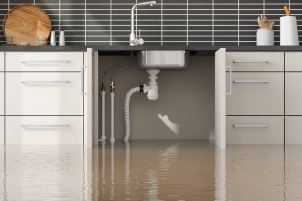 Best Mold removal after water damage  in Woodstock, IL